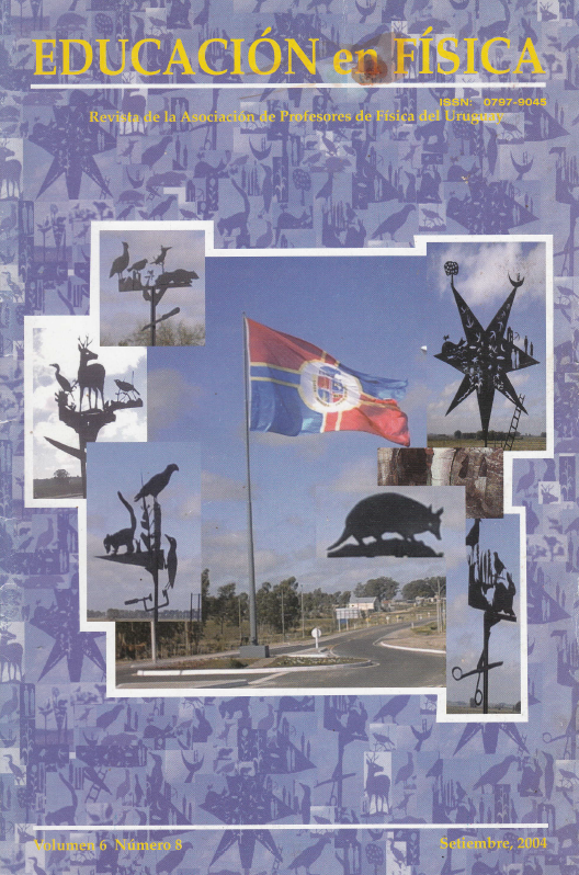 Vol 6. Nº 8. (2004)